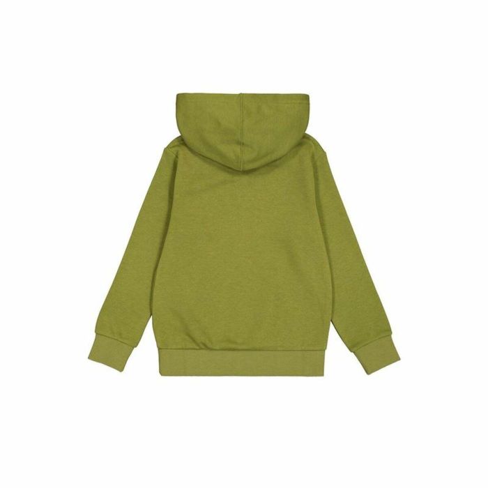 Sudadera con Capucha Hombre Champion Verde 1