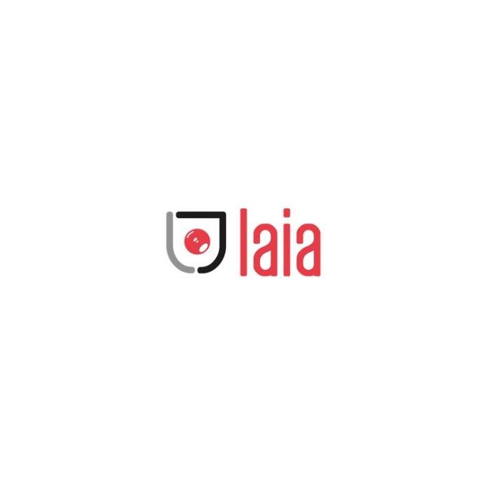 Laia Soporte universal de pared de hierro negro galvanizado