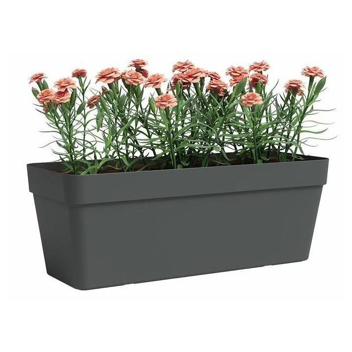Jardinera - Plástico - Antracita - Rectangular - L49,9 x P20 x H18,1cm - ARTEVASI 1 Jardinera - Plástico - Antracita - Rectangular - L49,9 x P20 x H18,1cm - ARTEVASI 1