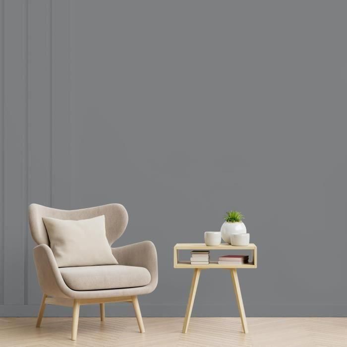 RIPOLIN Pintura de color satinado de ultra cobertura para cocina, dormitorio, salón, recibidor, entrada, pasillo - Gris pizarra 2 RIPOLIN Pintura de color satinado de ultra cobertura para cocina, dormitorio, salón, recibidor, entrada, pasillo - Gris pizarra 2