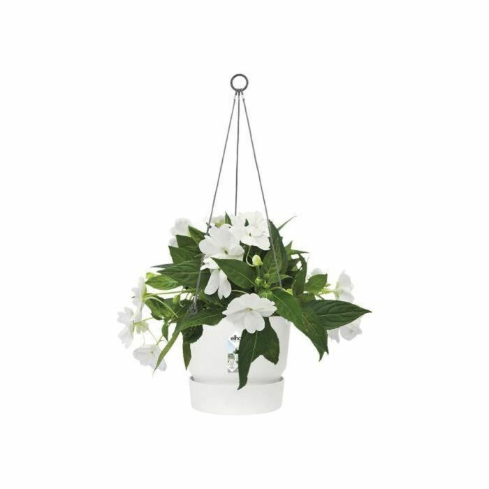 Maceta Colgante Elho Greenville Blanco Plástico Ø 23,9 x 20,3 cm 4 Maceta Colgante Elho Greenville Blanco Plástico Ø 23,9 x 20,3 cm 4