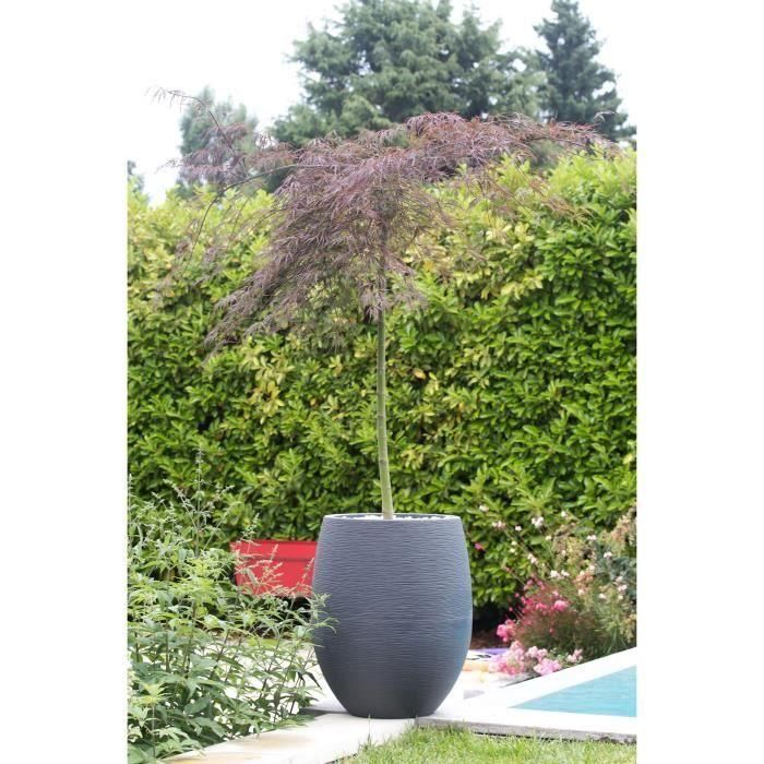 EDA 13737GANTPX12 Maceta Redonda Grafito Ø50cm, 53L, Gris Antracita 1 EDA 13737GANTPX12 Maceta Redonda Grafito Ø50cm, 53L, Gris Antracita 1