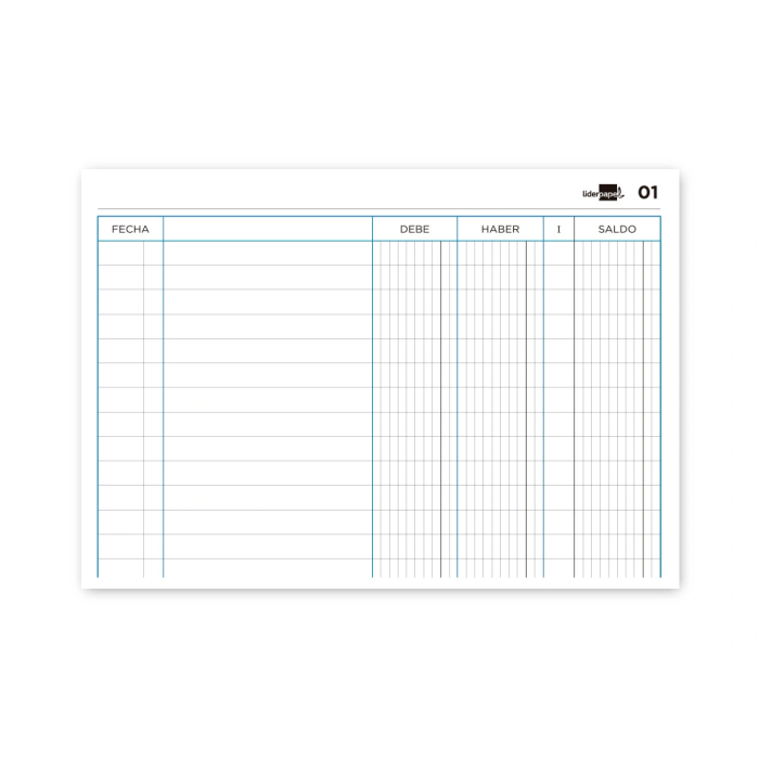 Liderpapel Cuaderno Cuarto Apaisado Cartone 100 Hojas Cuentas Corrientes Debe Haber y Saldo 2