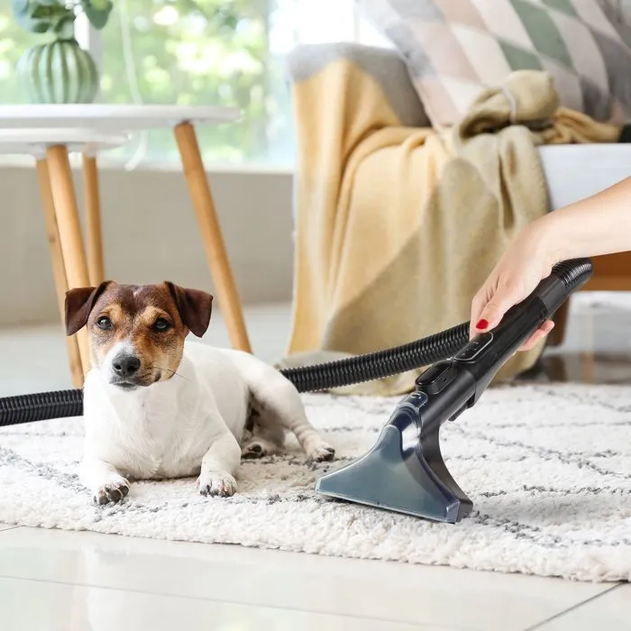 Domo Aspiradora Quitamanchas DO250SC de 600 W y 15.000 Pa, Depósito de Agua de 1.3 L, Color Azul y Negro