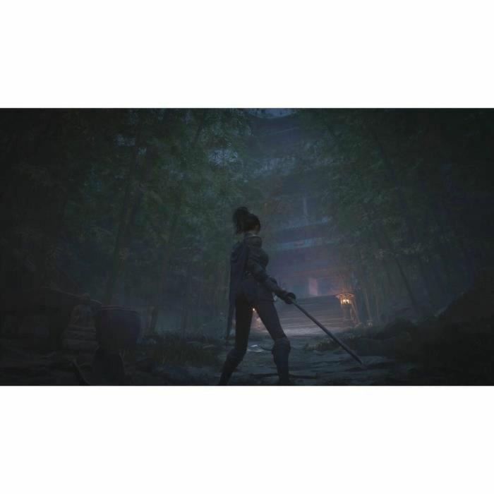 Just For Games WUCHANG: Fallen Feathers - Edición Día Uno - Juego de PS5 8023171047508 4 Just For Games WUCHANG: Fallen Feathers - Edición Día Uno - Juego de PS5 8023171047508 4