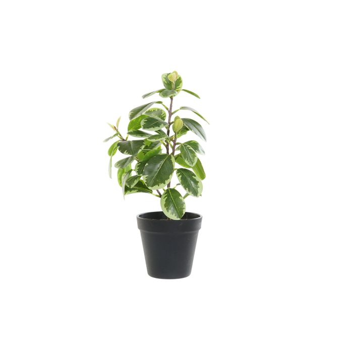 DKD Home Decor Planta Artificial Verde y Negro 15 x 35 x 20 cm de PVC (4 Unidades) 0 DKD Home Decor Planta Artificial Verde y Negro 15 x 35 x 20 cm de PVC (4 Unidades) 0