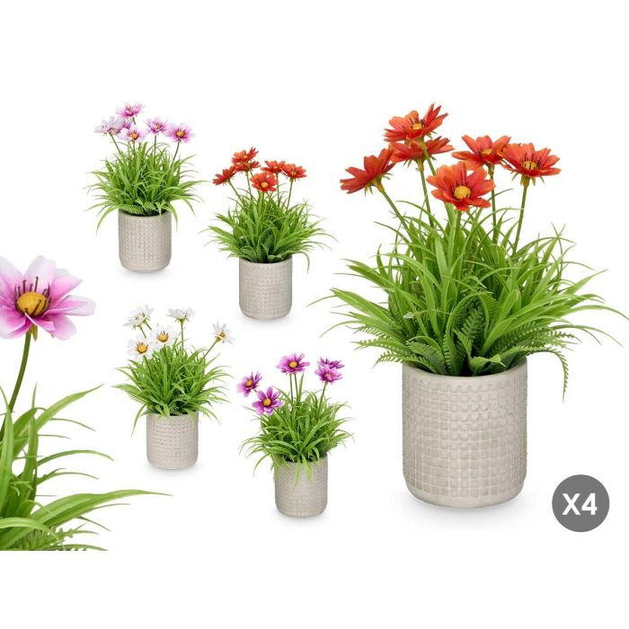 Maceta Cemento Cuadrados Flores Surtidos Ibergarden 18x23x18cm (24 Unidades) 0 Maceta Cemento Cuadrados Flores Surtidos Ibergarden 18x23x18cm (24 Unidades) 0