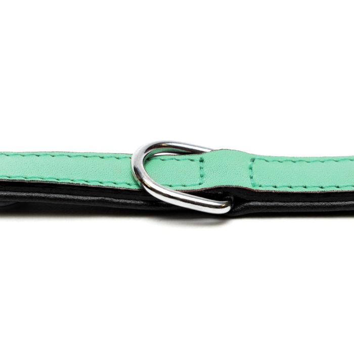 Collar Piel Acolchado 35 cm X 15 mm Verde 4 Collar Piel Acolchado 35 cm X 15 mm Verde 4
