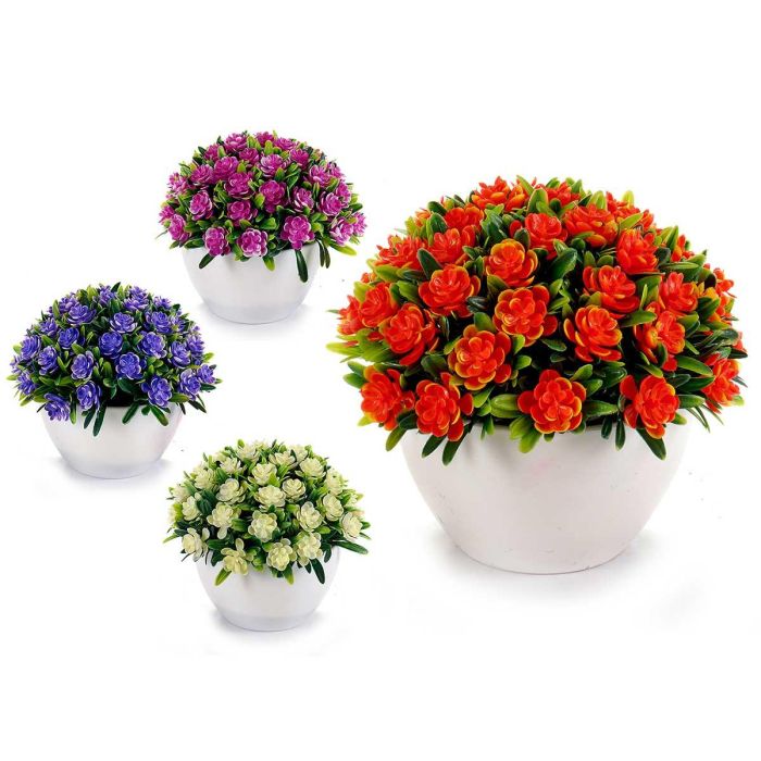 Ibergarden Planta de Flores de Trébol Surtidas, en Maceta de 10 cm, Fabricada en Plástico, Colores Variados, 14x12x14 cm (24 Unidades) Ibergarden Planta de Flores de Trébol Surtidas, en Maceta de 10 cm, Fabricada en Plástico, Colores Variados, 14x12x14 cm (24 Unidades)
