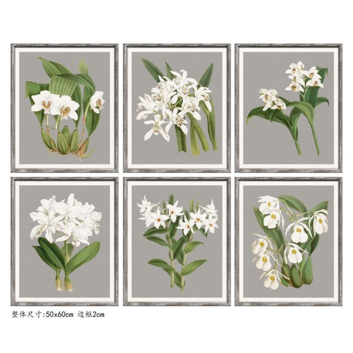 DKD Home Decor Cuadro Cottage Surtido Gris Blanco Flores 60x50x2,8 cm Cristal Abeto Decoración Pack 6 Unidades
