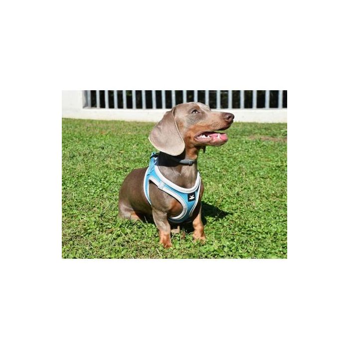 Arnés X-Trm Neo Azul S 40-45 cm 1 Arnés X-Trm Neo Azul S 40-45 cm 1