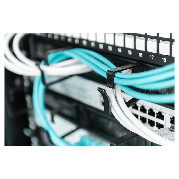 Digitus 1U cable management panel with brush entries 4x 2