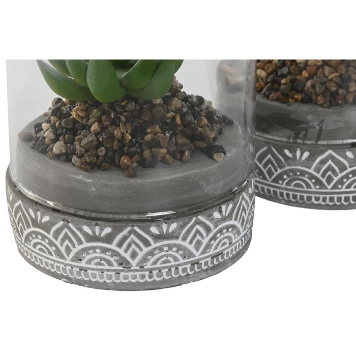 DKD Home Decor Planta Gris 12x18x12 cm (4 Unidades) 2