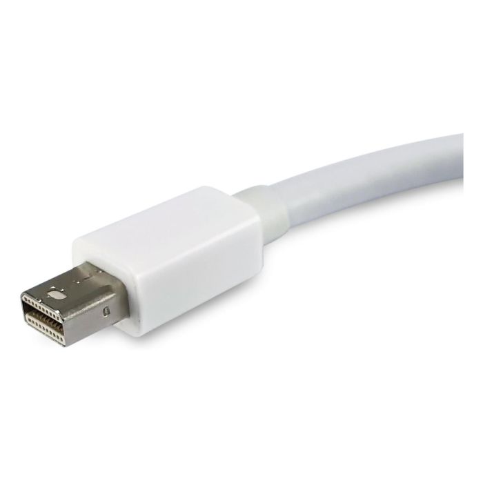 EQUIP ADAPTADOR MINI DISPLAYPORT MACHO A DISPLAYPORT HEMBRA 1