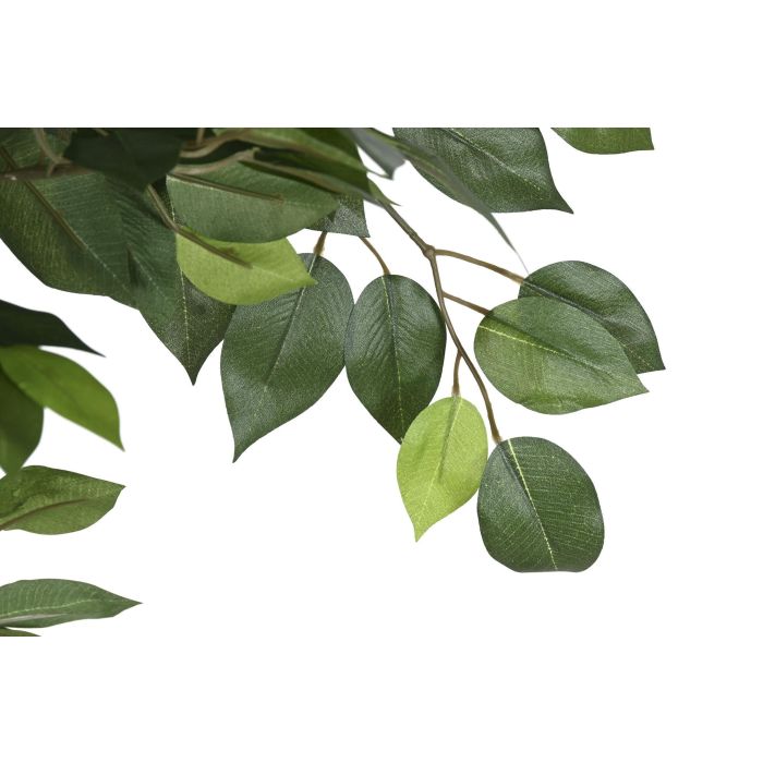 Planta  DKD Home Decor Verde 56 x 150 x 56 cm (2 Unidades) 1