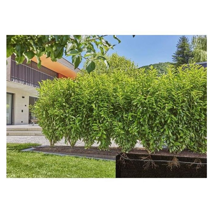 Gardena MDS Tropfrohr 1.6 l/h. ober-/unterirdi Verlegu 50 m 2 Gardena MDS Tropfrohr 1.6 l/h. ober-/unterirdi Verlegu 50 m 2
