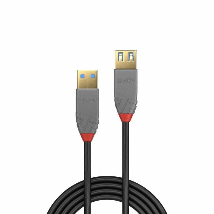 Lindy Cable de Extensión USB 3.2 Tipo A a Tipo A 0.5m 5Gbps Anthra Line Profesional con Contactos Dorados y Apantallamiento 1