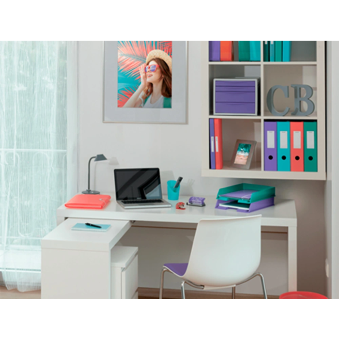 Esselte Archivador de Palanca DIN A4 Lomo 75 mm Carton Forrado PVC Color Coral 4