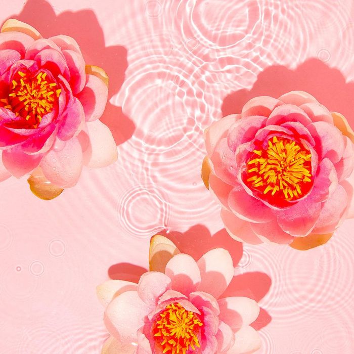 Jowaé SOS Anti Blemish Gel 10 ml Tratamiento Acné, Poros y Puntos Negros 3