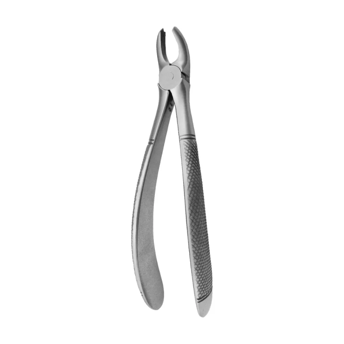 Forceps Pequenas N39A Molares Direita Covetrus