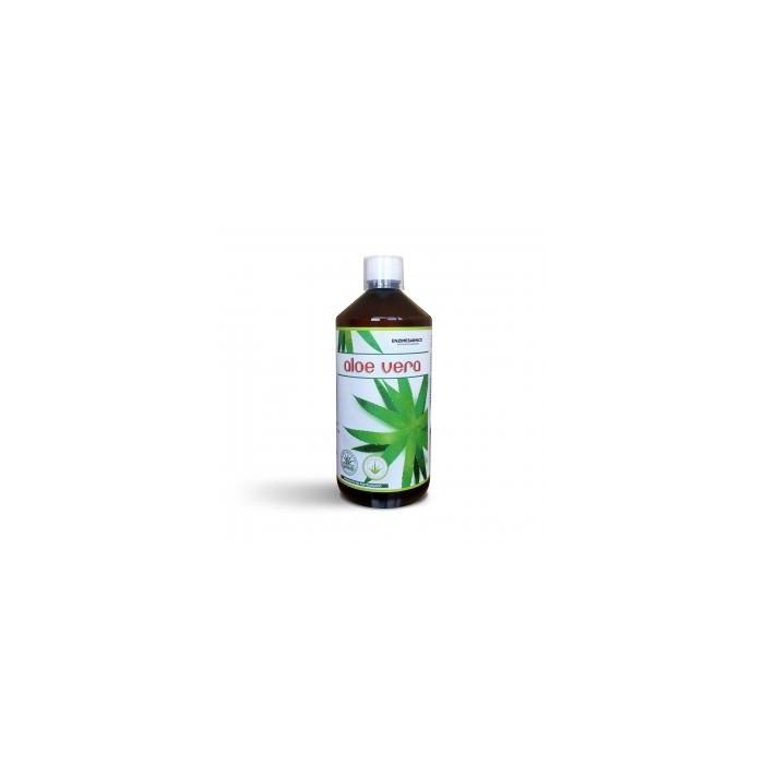 VERMONT HEALTH Aloe Vera 1 Litro Eco - Jugo Fresco 100% Pulpa No Pasteurizado para el Sistema Digestivo