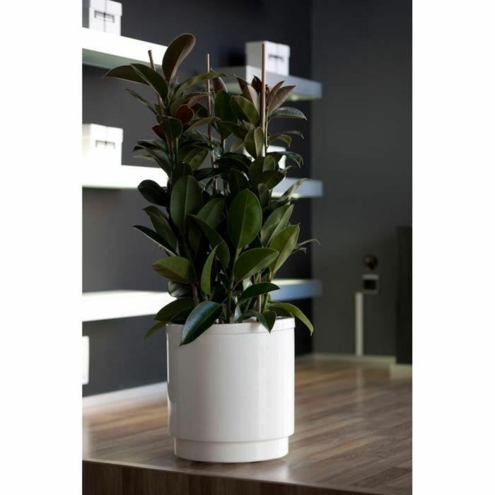 Plastiken Maceta Hidrojardinera con Reserva de Agua Ø38 cm Blanca 1