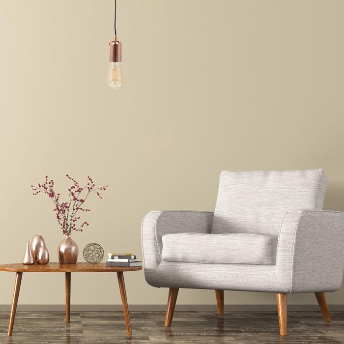 Home Deco Light Lámpara Colgante Aluminio Estilo Industrial Cobre Cable Negro E27 Máx.40W Con Enchufe 220-240V AC ~50 Hz d.5 cm; h.10 cm 3