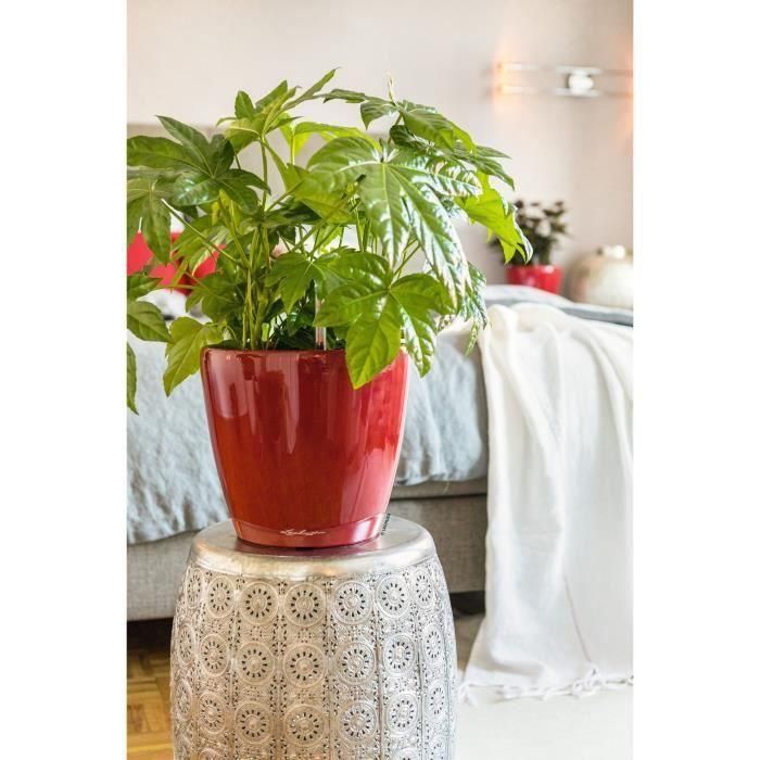 Jardinera - Classico premium LS 21 - Kit completo - Rojo escarlata brillante - 3 L - LECHUZA 1 Jardinera - Classico premium LS 21 - Kit completo - Rojo escarlata brillante - 3 L - LECHUZA 1