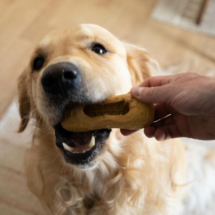 Juguete para perros Nylabone Marrón Manteca de cacahuete M 1 Juguete para perros Nylabone Marrón Manteca de cacahuete M 1
