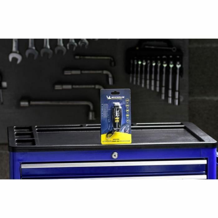 Michelin 9525 Controlador de Presión Digital de 0,05 bares a 7 bares Precisión 0,05 bares 2