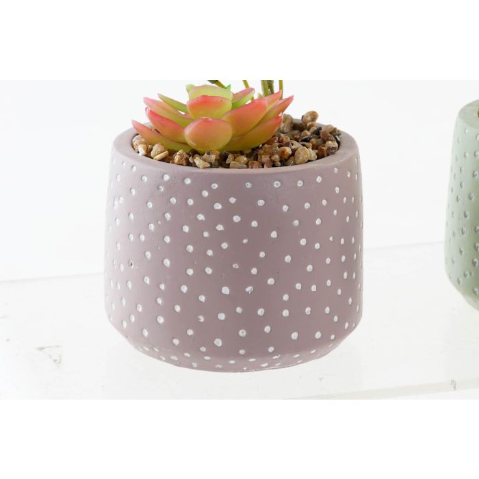 DKD Home Decor Planta Artificial Decorativa Set de 6 Unidades de 18 cm de Alto con Maceta de Cemento y PE Colores Surtidos 2 DKD Home Decor Planta Artificial Decorativa Set de 6 Unidades de 18 cm de Alto con Maceta de Cemento y PE Colores Surtidos 2