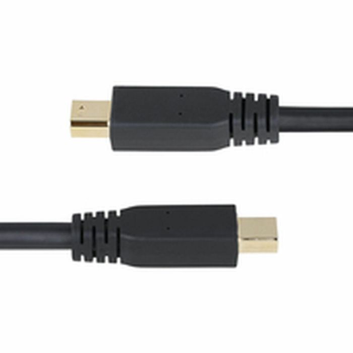 Cable VGA Startech DP14MDPMM10F Negro 3 m 15 Cable VGA Startech DP14MDPMM10F Negro 3 m 15