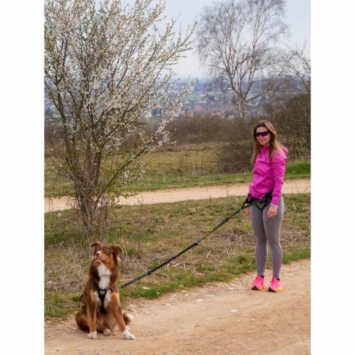 Cani C Gear AUC3760402170295 Arnés para perros SYMBIOZ Talla M Negro y Azul 4