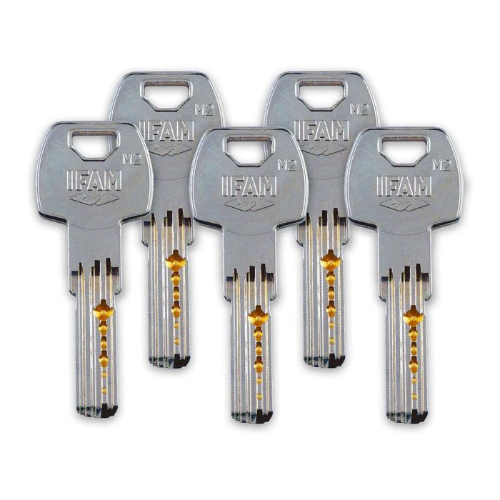 Ifam Cerrojo cs88l m50 Acabado Latonado Cilindro 50mm 5 Llaves de Seguridad Acero 2