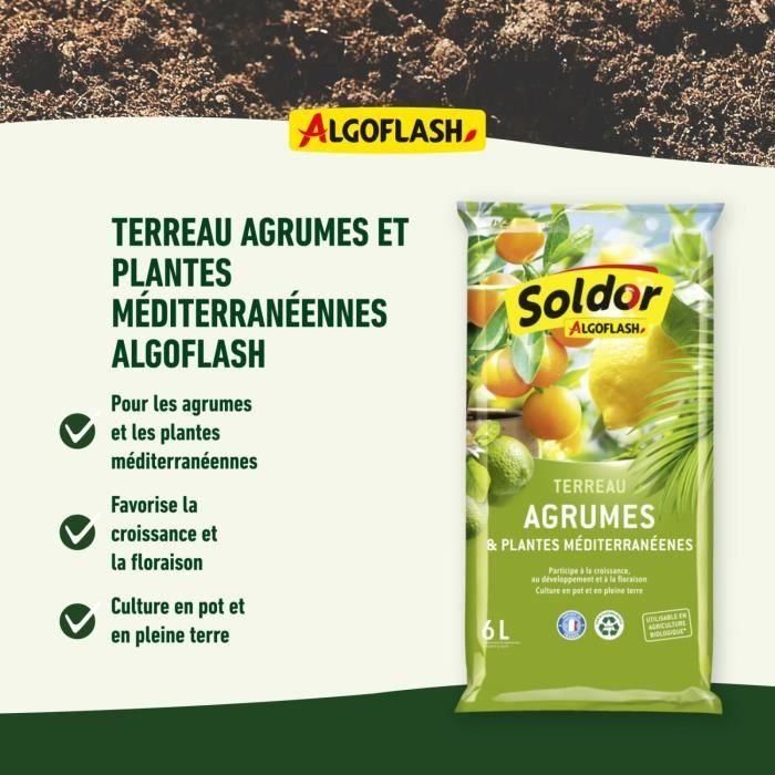 ALGOFLASH - Tierra de Cítricos y Plantas Mediterráneas 6 L 2 ALGOFLASH - Tierra de Cítricos y Plantas Mediterráneas 6 L 2