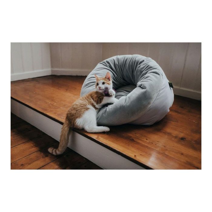 Hunter Cama para Perro/Gato Miranda 50x50 cm Gris