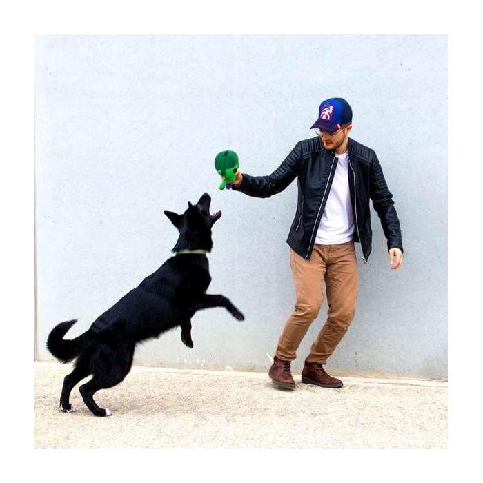 Cerdá Muñeco de Peluche para Perro, Tema Marvel Avengers, 13.0 x 18.0 x 22.0 cm, Tono Verde, Edad Mínima Recomendada: 3 Años 7