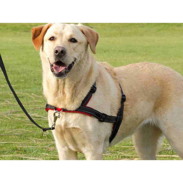 Arnés para Perro Trixie 2 Arnés para Perro Trixie 2