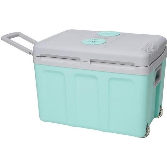 Nevera termoeléctrica - EZA - 40L Nevera termoeléctrica - EZA - 40L