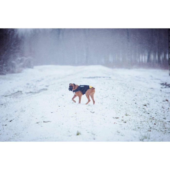 Arnés para Perro Julius K9 IDC L/XL 2 12 Arnés para Perro Julius K9 IDC L/XL 2 12