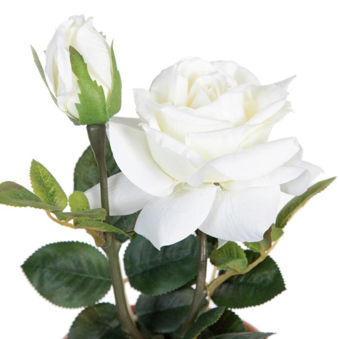 Planta Rosas 3/M Blanco-Rosa Artificial 13 X 13 X 28 cm