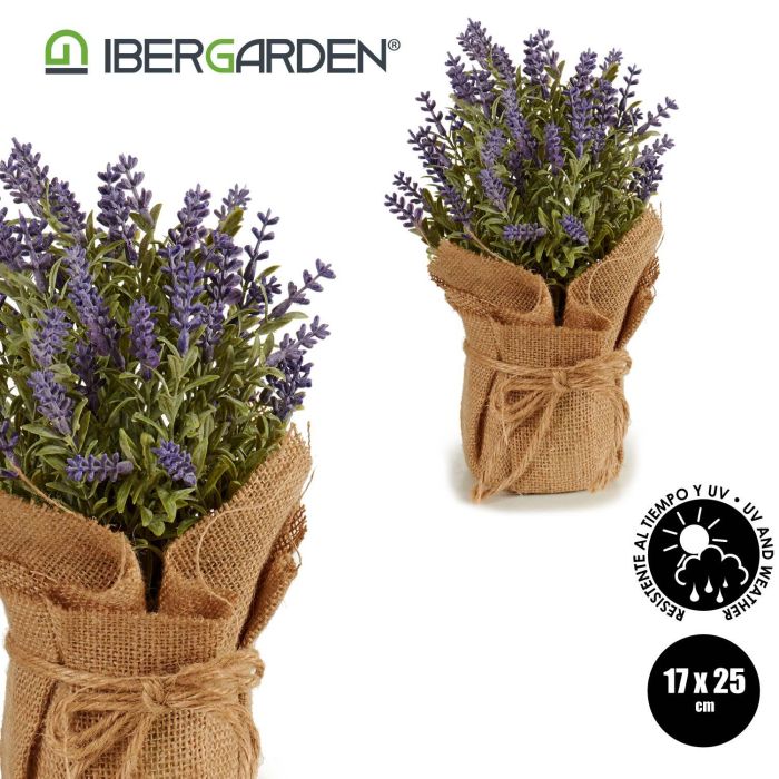 Lavanda Maceta Saco Pequeña 17X25Cm Ibergarden (12 Unidades) 3 Lavanda Maceta Saco Pequeña 17X25Cm Ibergarden (12 Unidades) 3