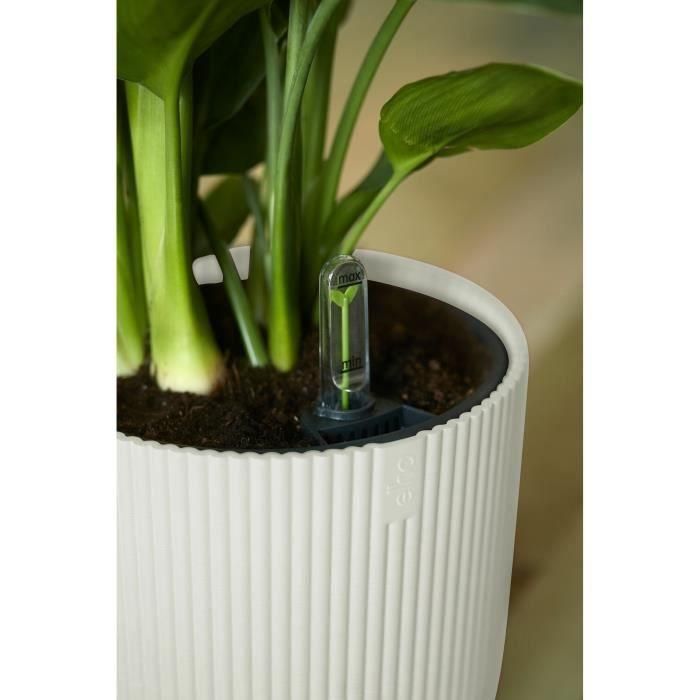 Vibras de maceta de flores redondas - Plastic - Ø22 - Blanco 5 Vibras de maceta de flores redondas - Plastic - Ø22 - Blanco 5