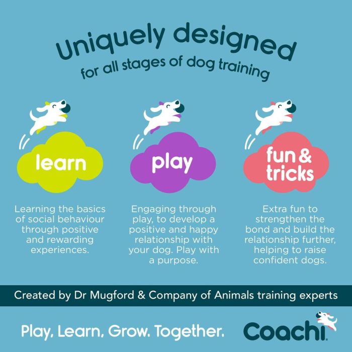 Coachi Training Dummy S de Lona Azul Oscuro, Juguete de Recuperación Flotante para Adiestramiento de Perros y Cachorros 4