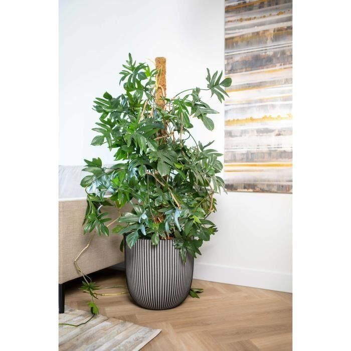 Capi Europe AUC1685517754407 Maceta de bolas GROOVE NL 43 x 41 cm Antracita 1 Capi Europe AUC1685517754407 Maceta de bolas GROOVE NL 43 x 41 cm Antracita 1