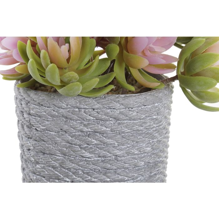 Planta DKD Home Decor Beige Gris 14.5 x 16 x 14.5 cm (4 Unidades) 2