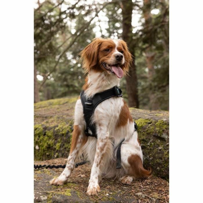 Arnés para perros - SYMBIOZ - XL - Negro / Azul 2 Arnés para perros - SYMBIOZ - XL - Negro / Azul 2