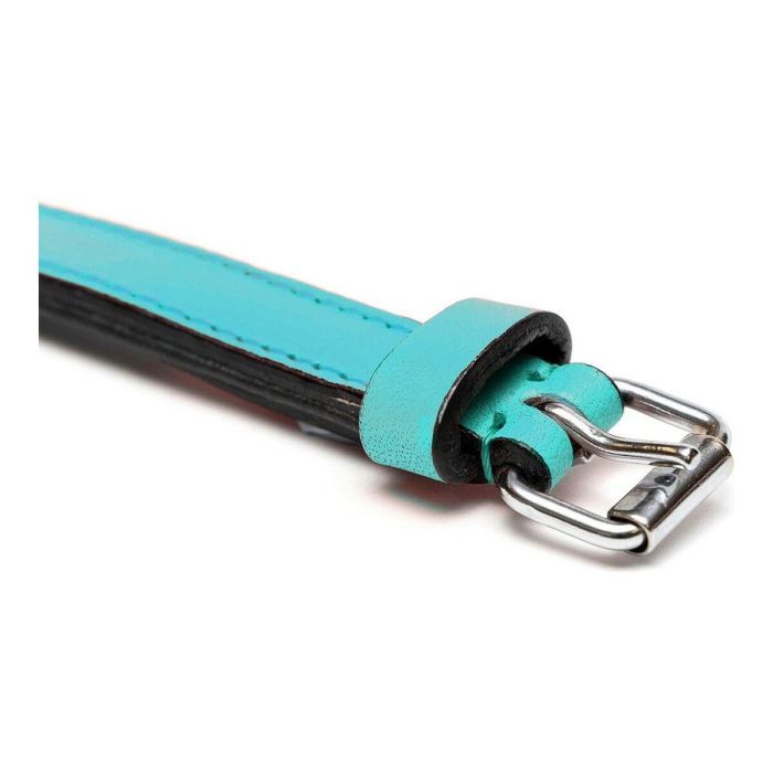 Collar Piel Acolchado 55 cm X 25 mm Turquesa 4 Collar Piel Acolchado 55 cm X 25 mm Turquesa 4