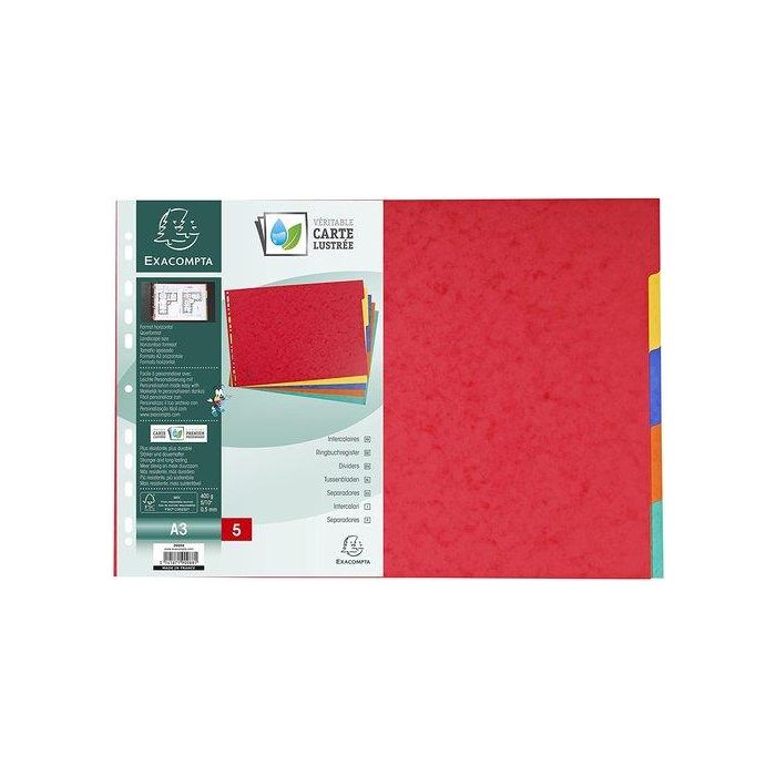 Exacompta Separadores Nature Future Cartulina Lustrada 400 gr 5 Posiciones A3 Colores