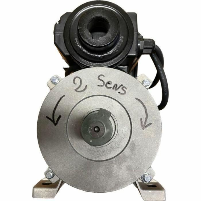 Domac Motor Eléctrico 3CV 230V 2750 rpm con Polea 68mm, Eje 19mm para Correa Trapezoidal 13mm y Disyuntor Térmico 4 Domac Motor Eléctrico 3CV 230V 2750 rpm con Polea 68mm, Eje 19mm para Correa Trapezoidal 13mm y Disyuntor Térmico 4